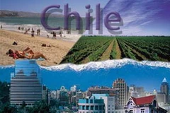 Ảnh minh họa. (Nguồn: Internet)