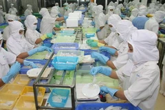 Chế biến mực xuất khẩu tại Công ty Xuất nhập khẩu thủy sản Nam Hà Tĩnh. (Ảnh: Huy Hùng/TTXVN)