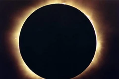 Ảnh minh họa. (Nguồn: Internet)