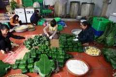 Ngày cận Tết ở làng làm bánh chưng dâng Vua Hùng