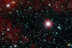 (Ảnh minh họa: AP)