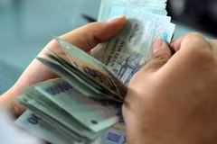 Đình chỉ chức vụ tám lãnh đạo hưởng lương "khủng"