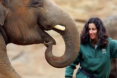 Lucy Melo và chú voi. (Nguồn: Daily Telegraph)