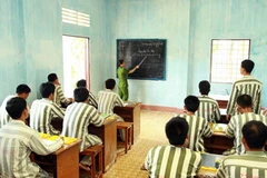 Ảnh minh họa. (Ảnh: Doãn Tấn/TTXVN)