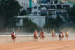 Lâm Đồng khởi động dự án trường đua ngựa nghìn tỷ