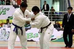 (Ảnh minh họa: Hữu Việt/TTXVN)