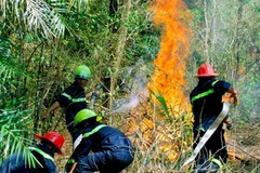 Diễn tập chữa cháy tại Vườn chim Bạc Liêu. (Ảnh: Phan Thanh Cương/TTXVN)