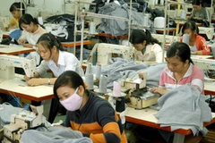 (Ảnh: Dương Ngọc/TTXVN)