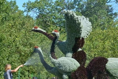 (Ảnh: Viên Thị Luyến/Vietnam+)