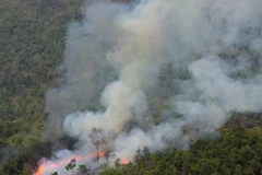 (Ảnh: Ngọc Hà/TTXVN)