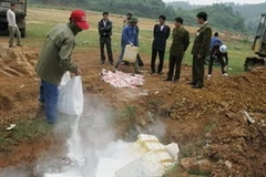 Ảnh minh họa. (Nguồn: Internet)