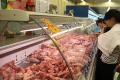 (Ảnh: Thanh Vũ/TTXVN)