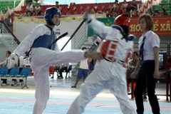 Ảnh minh họa. (Nguồn: Ảnh: Duy Khương/TTXVN)