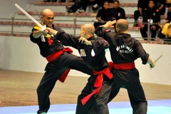 Màn biểu diễn tại giải Võ cổ truyền các tỉnh, thành phía Bắc. (Ảnh: Ngọc Trường/TTXVN)