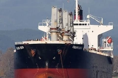 Tàu Vinalines Queen. (Ảnh: Internet)