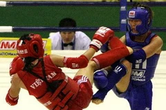 (Ảnh: Tràng Dương/TTXVN)