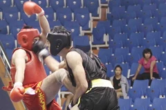 (Ảnh: Phạm Kiên/TTXVN)