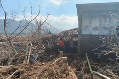 Người dân thu dọn đống đổ nát sau khi bão Usagi quét qua tỉnh Cagayan (Philippines) ngày 15/11/2024. (Ảnh: Reuters/TTXVN)