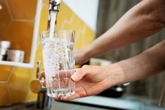 (Nguồn: The Telegraph)