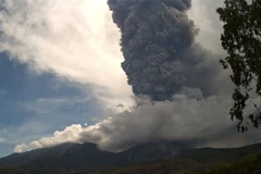 Tro bụi phun lên từ núi lửa Lewotobi Laki-Laki ở Đông Nusa Tenggara (Indonesia), ngày 8/11/2024. (Ảnh: THX/TTXVN)