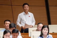 Phó Thủ tướng Lê Thành Long làm rõ một số vấn đề quan trọng trong lĩnh vực y tế tại phiên chất vấn Bộ trưởng Bộ Y tế Đào Hồng Lan, ngày 12/11.