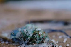 Chuyên gia cảnh báo nguy cơ mắc bệnh ung thư từ hạt nhựa siêu nhỏ