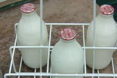 Mỹ thành lập ủy ban giải quyết tranh chấp thương mại với Canada 