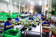 Giải pháp quan trọng thúc đẩy tăng trưởng xuất khẩu các tháng cuối năm