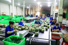 Giải pháp quan trọng thúc đẩy tăng trưởng xuất khẩu các tháng cuối năm