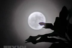 Hiện tượng Siêu Trăng sẽ xuất hiện vào lúc 8 giờ 35 ngày 31/8