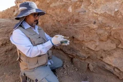 Saudi Arabia công bố những khám phá mới tại điểm khảo cổ Al-Abla