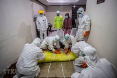 Hơn 2.000 nhân viên y tế của Indonesia thiệt mạng do COVID-19 