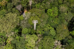 Brazil xây dựng công trình phun khí CO2 vào rừng nhiệt đới Amazon