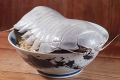Thưởng thức món mỳ ramen kết hợp bọ biển khổng lồ 14 chân