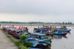 Các địa phương chủ động ứng phó với diễn biến của áp thấp nhiệt đới