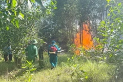 Ninh Bình huy động 300 người kịp thời dập tắt vụ cháy rừng phòng hộ