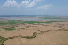 Mực nước hồ Trị An xuống rất thấp do ảnh hưởng của El Nino. (Ảnh: Công Phong/TTXVN)