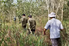 Nguy cơ xảy ra cháy lớn ở tất cả các loại rừng tại tỉnh An Giang