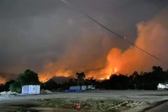 Phú Yên: Liên tiếp xảy ra cháy rừng trong thời tiết nắng nóng