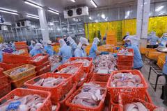 Nhìn lại 3 năm EVFTA: Khai thác lợi thế, hạn chế thách thức