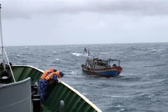 Chìm tàu cá khi hoạt động trên biển, 4 lao động được cứu an toàn