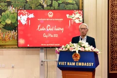 Đại sứ Phạm Sao Mai. (Ảnh: Tiến Trung/TTXVN)