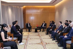 Thủ tướng Phạm Minh Chính tiếp các doanh nghiệp hàng đầu Indonesia