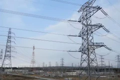 Thủ đô Tokyo của Nhật Bản có nguy cơ khan hiếm điện trong mùa Hè