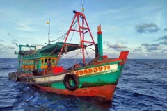 (Ảnh minh họa. TTXVN phát)