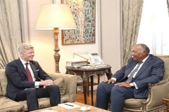 Ai Cập hỗ trợ vai trò của LHQ trong việc giải quyết khủng hoảng Yemen