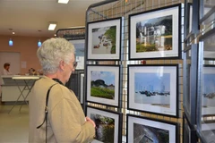 Triển lãm sách, tranh và ảnh của các tác giả Việt Nam tại Pháp