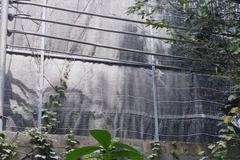 Người dân Đồng Tháp bức xúc do bị ảnh hưởng bởi bụi ximăng