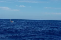 (Ảnh minh họa. TTXVN phát)