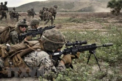 30 nước tham gia cuộc tập trận chung đa phương Hổ mang Vàng